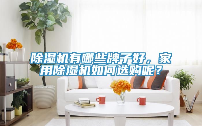 除湿机有哪些牌子好，家用除湿机如何选购呢？
