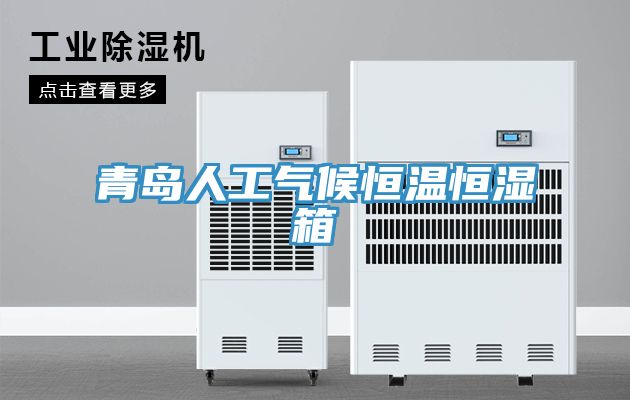 青岛人工气候恒温恒湿箱