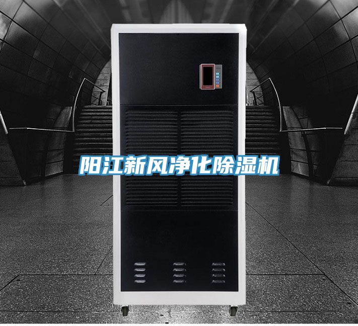 阳江新风净化除湿机