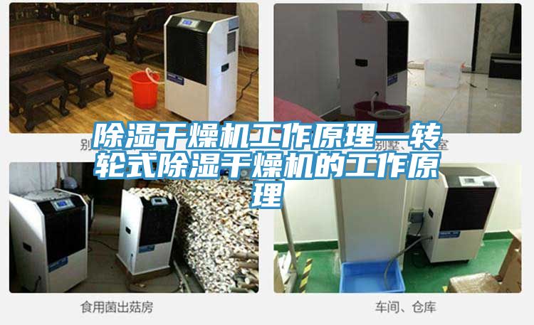 除湿干燥机工作原理—转轮式除湿干燥机的工作原理