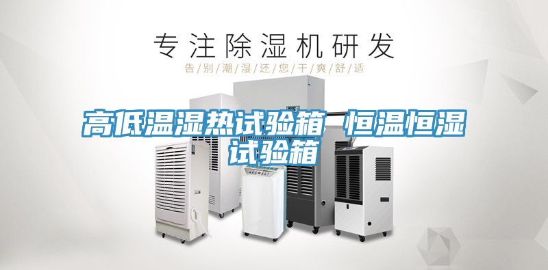 高低温湿热试验箱 恒温恒湿试验箱
