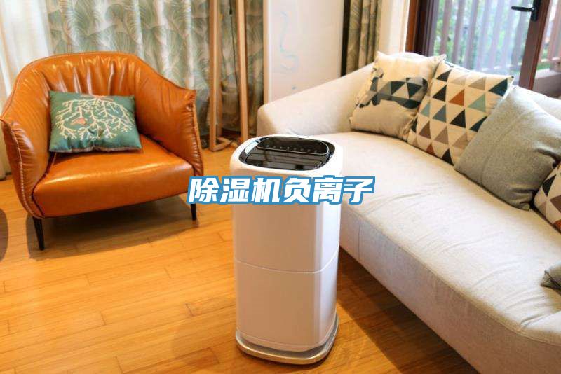 除湿机负离子