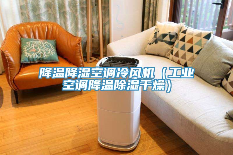 降温降湿空调冷风机（工业空调降温除湿干燥）