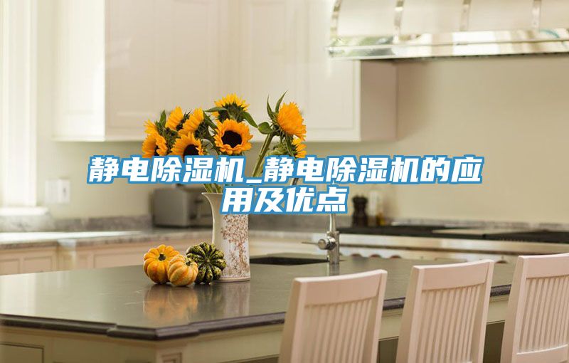 静电除湿机_静电除湿机的应用及优点