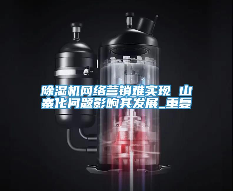 除湿机网络营销难实现 山寨化问题影响其发展_重复