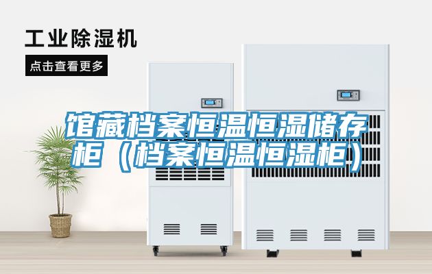 馆藏档案恒温恒湿储存柜（档案恒温恒湿柜）