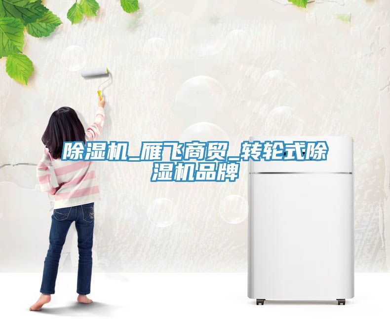除湿机_雁飞商贸_转轮式除湿机品牌